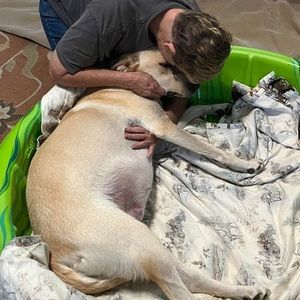 Meet your Posher, Michele shelly